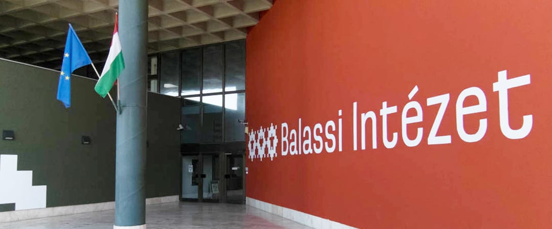 Институт Балашши и хунгарология